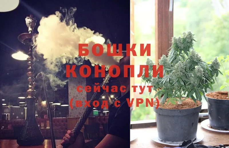 что такое   Волхов  Бошки марихуана SATIVA & INDICA 